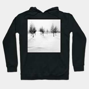 Winter scene, new update Hoodie